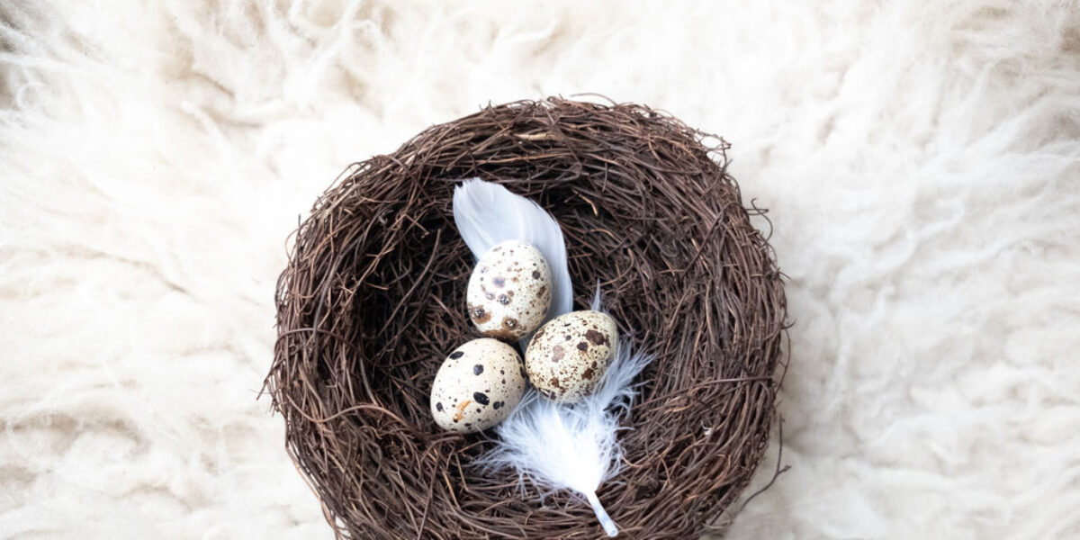 Campaign to extend egg freezing limit is stalled due to General Election