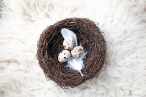 Government launches public consultation on egg freezing laws