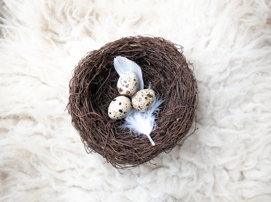 Government launches public consultation on egg freezing laws