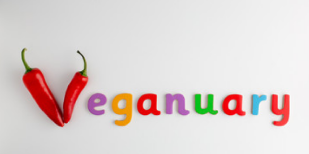 Ethical vegans protected by discrimination legislation