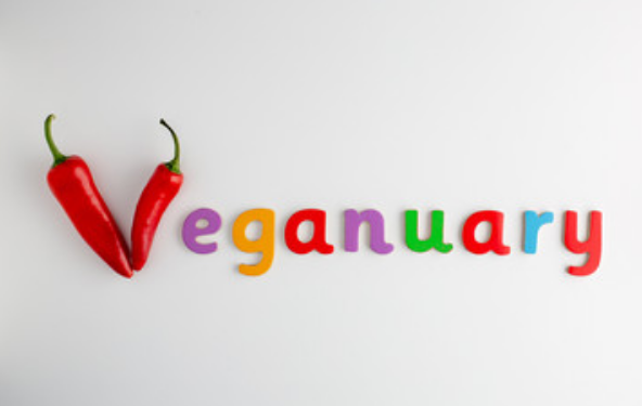 Ethical vegans protected by discrimination legislation