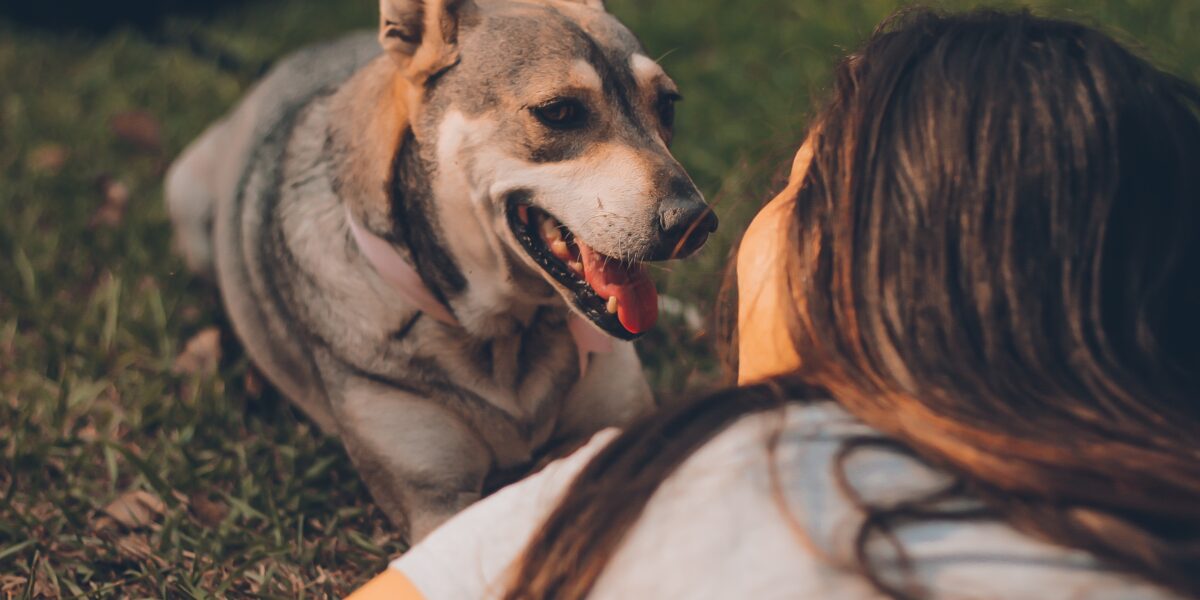 What happens to my pets when I die?