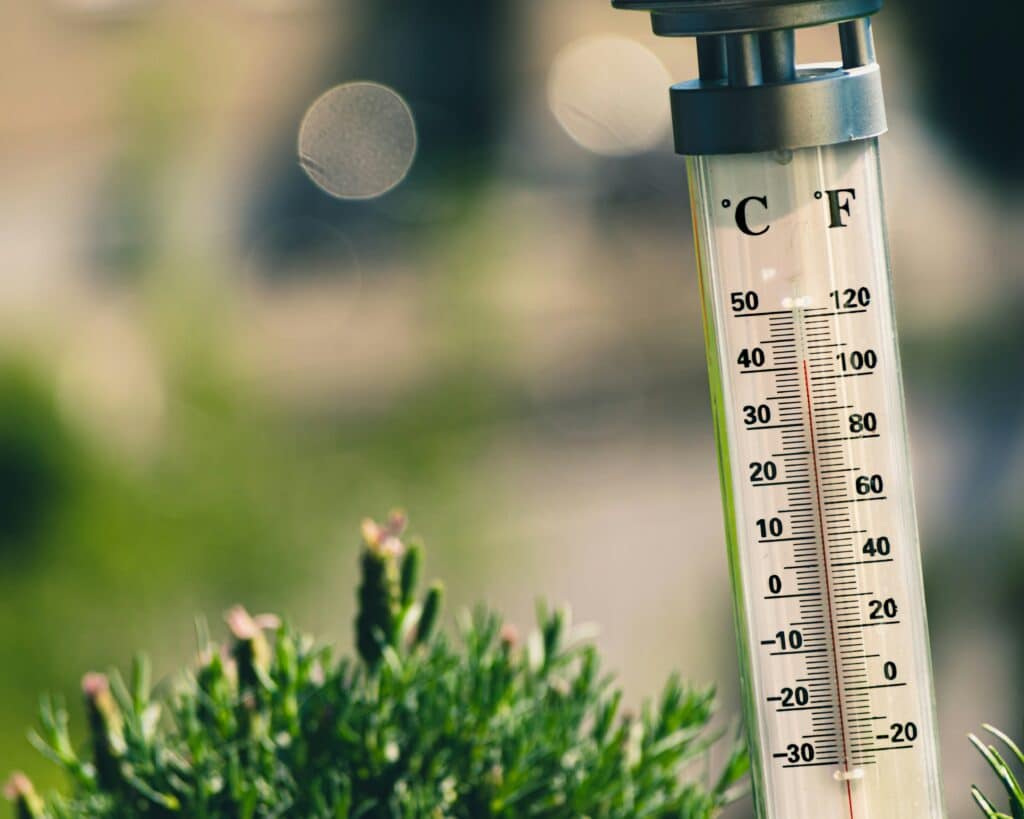 Managing heatwave in the workplace: A practical guide for UK employers