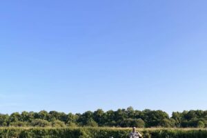 Our 2025 staff activity clubs