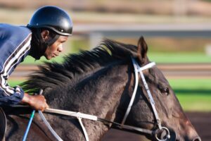 Freddy Tylicki Case – What are the implications for horse racing?