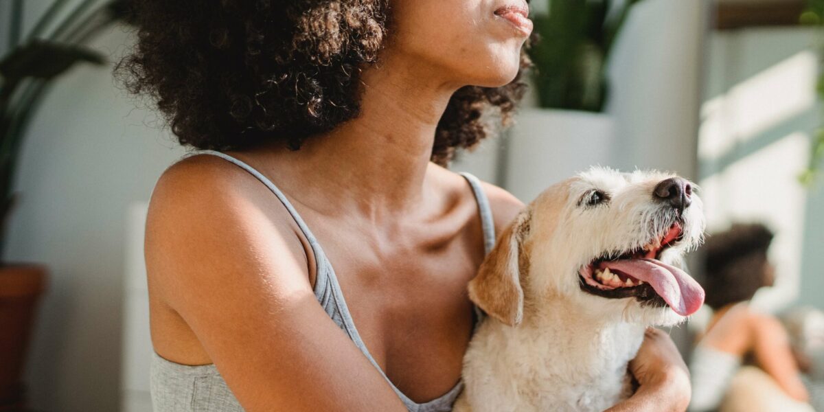 Tenant Pets and the Renters Reform Bill – Claws and Effect