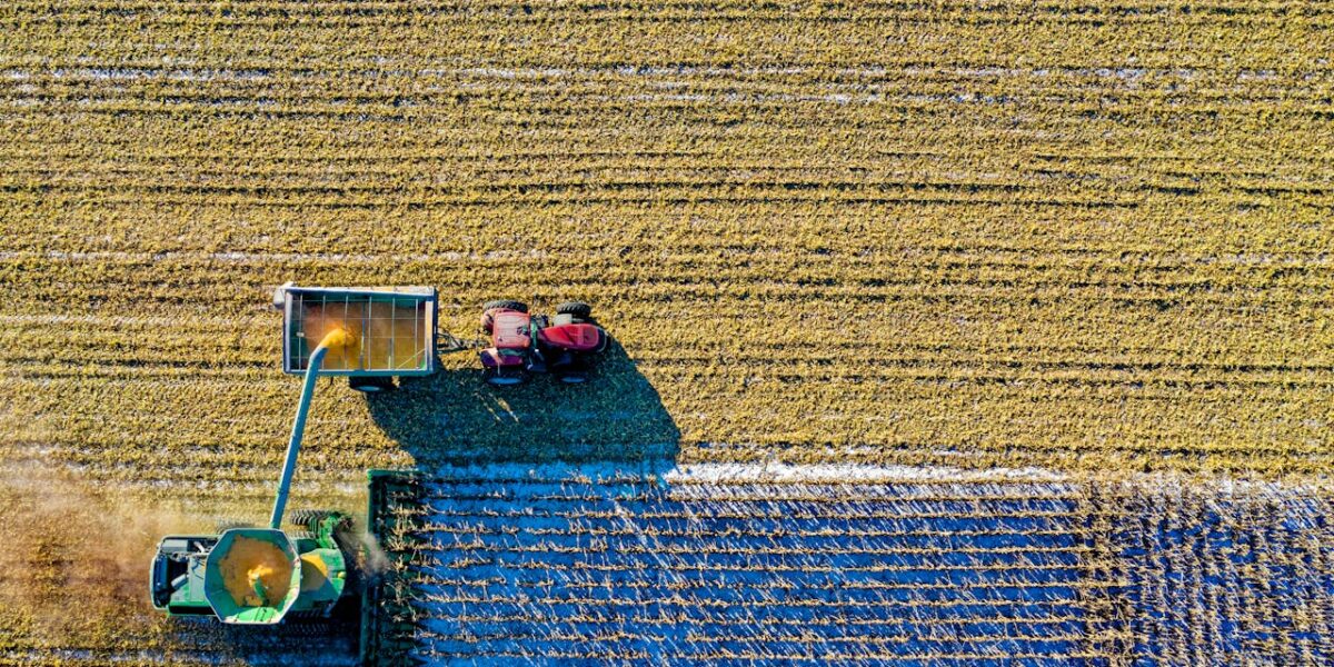 Insights for Farmers & Solicitors: 2024 Town & Country Planning Amendment